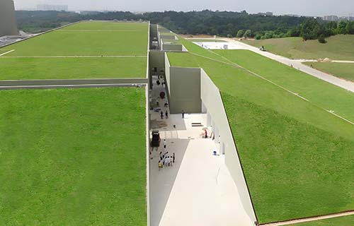 Green Roof