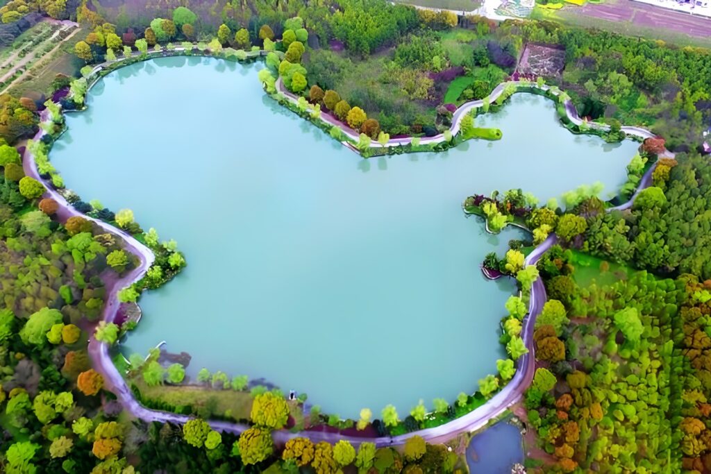 Landscape & Ayyukan lambun