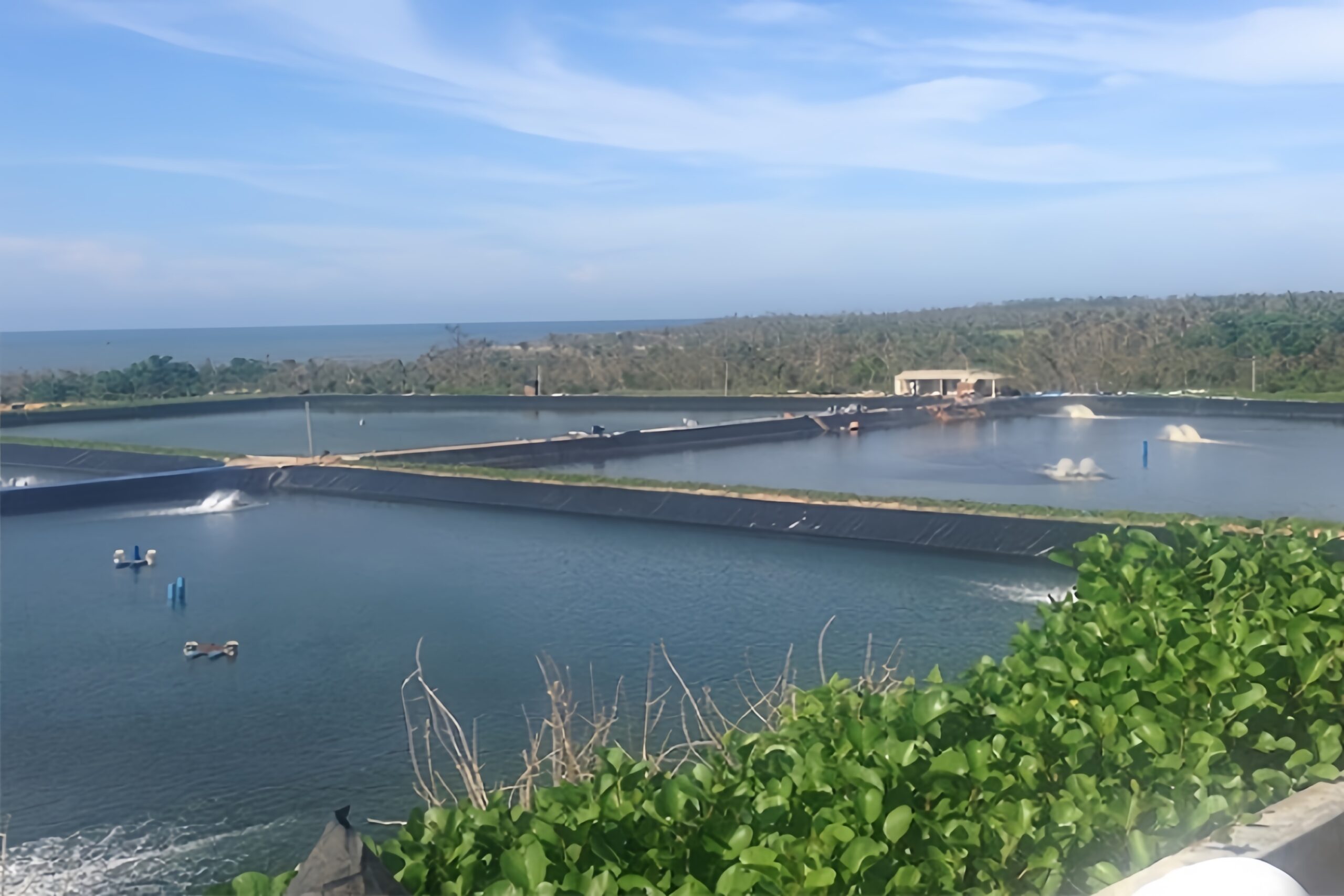 A large, newly installed black geomembrane liner in an empty fish pond