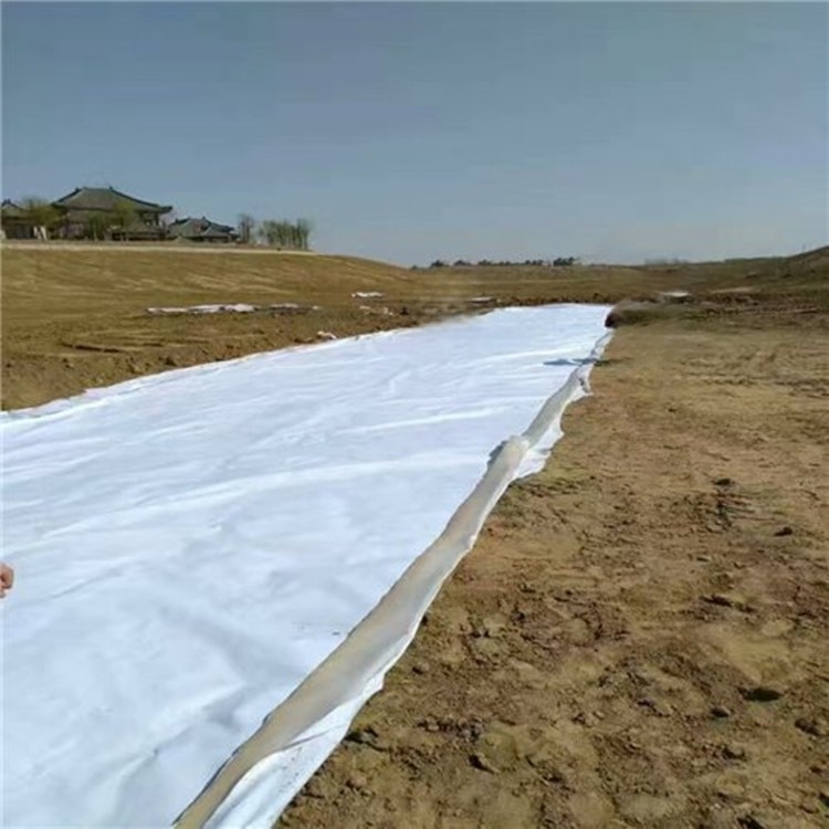 Composite Geomembrane installation