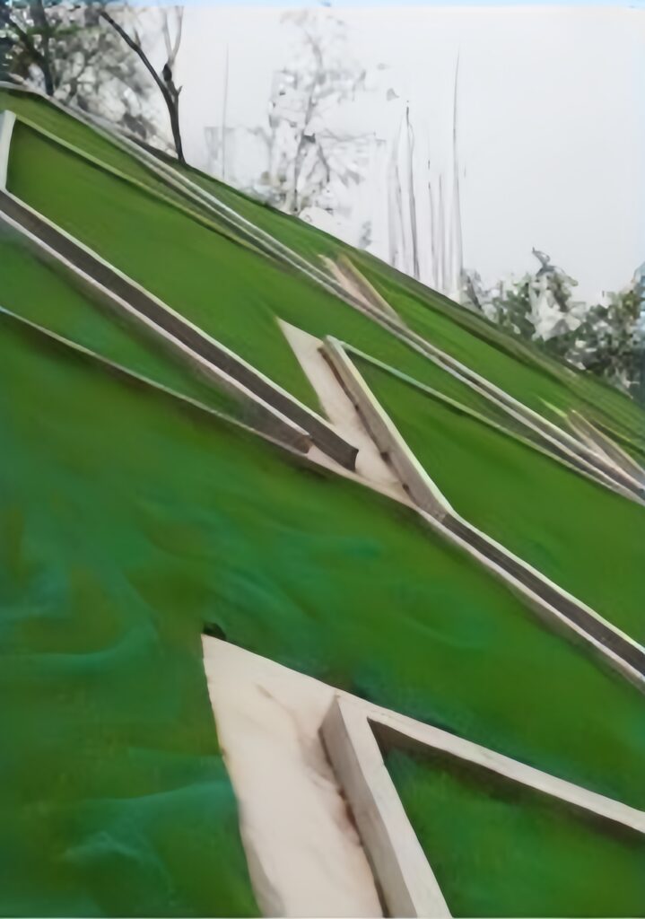 Vegetated Slope Protection