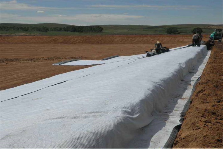 Evaluating GCL Performance in Variable Geological and Groundwater Conditions