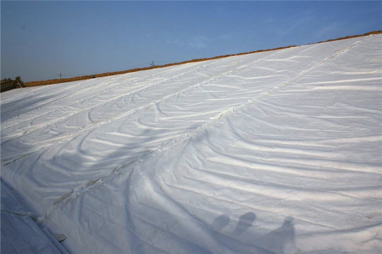 A close-up, magnified image showing water passing through a nonwoven geotextile while fine soil particles are retained on its surface
