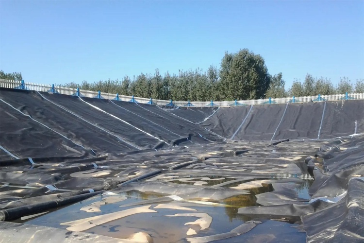 A functional diagram showing leachate being collected by the primary system, while a small leak is caught and channeled by the leak detection layer