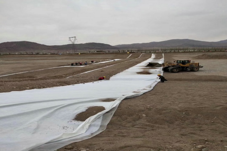 Installation crew following a step-by-step process of unrolling and immediately securing a geomembrane panel with sandbags