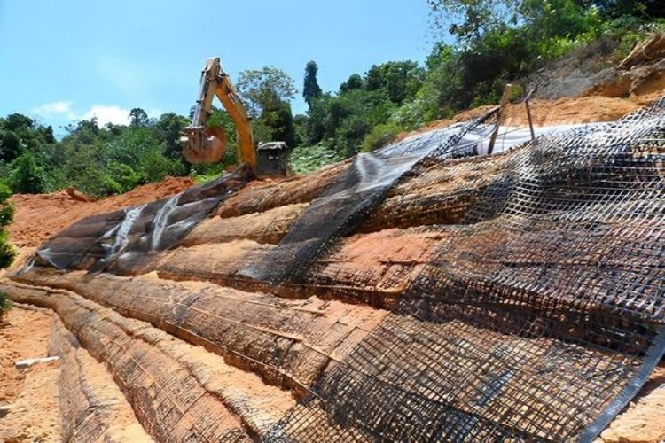 How do geogrids improve retaining wall performance in landscaping?