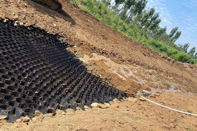 Geocells filled with soil and vegetation for slope protection