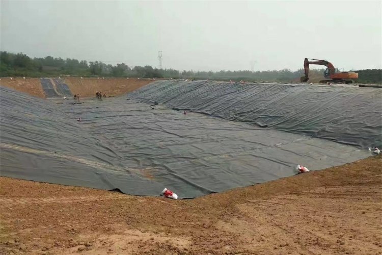 How Long Do Geomembrane Liners Last in Anaerobic Digestion and Biogas Applications?