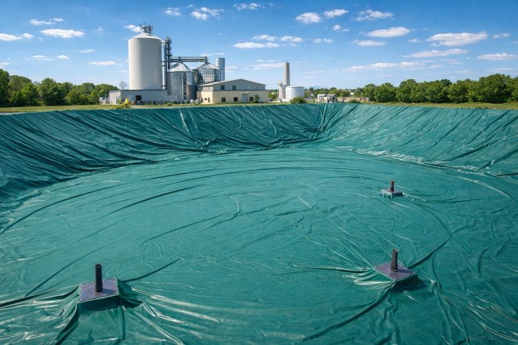 Thermal expansion wrinkles on floating cover