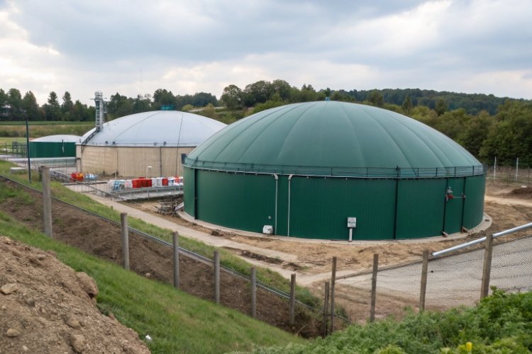 How does biogas digestate affect HDPE and LLDPE geomembrane liners?